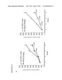 PARP1 TARGETED THERAPY diagram and image