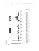 PARP1 TARGETED THERAPY diagram and image