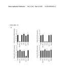 PARP1 TARGETED THERAPY diagram and image