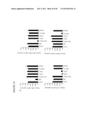 PARP1 TARGETED THERAPY diagram and image