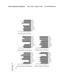 PARP1 TARGETED THERAPY diagram and image