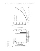 PARP1 TARGETED THERAPY diagram and image