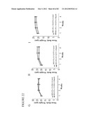 PARP1 TARGETED THERAPY diagram and image