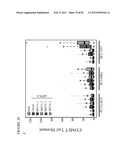 PARP1 TARGETED THERAPY diagram and image