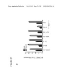 PARP1 TARGETED THERAPY diagram and image