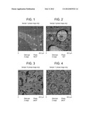 POLYOLEFIN/POLYLACTIC ACID BLENDS diagram and image