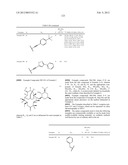 6-11 Bicyclic Ketolide Derivatives diagram and image