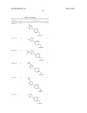 6-11 Bicyclic Ketolide Derivatives diagram and image