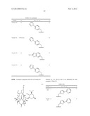 6-11 Bicyclic Ketolide Derivatives diagram and image