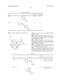 6-11 Bicyclic Ketolide Derivatives diagram and image