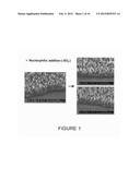 ALIGNED NANOSTRUCTURED POLYMERS diagram and image