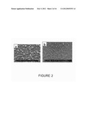 ALIGNED NANOSTRUCTURED POLYMERS diagram and image