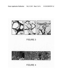 ALIGNED NANOSTRUCTURED POLYMERS diagram and image