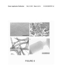 ALIGNED NANOSTRUCTURED POLYMERS diagram and image