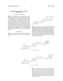 PHOSPHORAMIDITE DERIVATIVES OF FOLIC ACID diagram and image