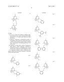 ORGANOPHOSPHORUS COMPOUNDS, CATALYTIC SYSTEMS COMPRISING SAID COMPOUNDS     AND METHOD OF HYDROCYANATION OR OF HYDROFORMYLATION USING SAID CATALYTIC     SYSTEMS diagram and image