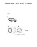 INTRAVITAL SAMPLE DEVICE FOR IN VIVO DRUG SCREENING diagram and image