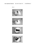 INTRAVITAL SAMPLE DEVICE FOR IN VIVO DRUG SCREENING diagram and image