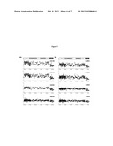 GC Wave Correction for Array-Based Comparative Genomic Hybridization diagram and image