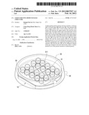 LIGHT EMITTING DIODE PACKAGE STRUCTURE diagram and image