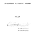 APPARATUS AND METHOD FOR TRANSMITTING A REFERENCE SIGNAL IN A WIRELESS     COMMUNICATION SYSTEM diagram and image