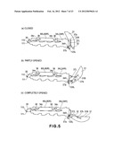 ELECTROPHOTOGRAPHIC IMAGE FORMING APPARATUS, PROCESS CARTRIDGE AND     DEVELOPING CARTRIDGE diagram and image