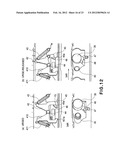 ELECTROPHOTOGRAPHIC IMAGE FORMING APPARATUS, PROCESS CARTRIDGE AND     DEVELOPING CARTRIDGE diagram and image