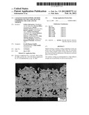 CATALYST-COATED SUPPORT, METHOD FOR PRODUCING THE SAME, REACTOR COMPRISING     THE SAME AND USE THEREOF diagram and image