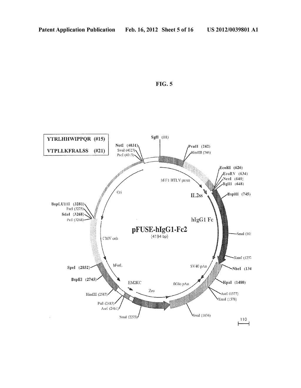 SPARC binding peptides and uses thereof - diagram, schematic, and image 06