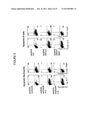 T-Helper Cell Type 17 Lineage-Specific Adjuvants, Compositions and Methods diagram and image