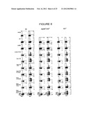 T-Helper Cell Type 17 Lineage-Specific Adjuvants, Compositions and Methods diagram and image