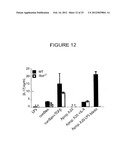 T-Helper Cell Type 17 Lineage-Specific Adjuvants, Compositions and Methods diagram and image