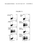 T-Helper Cell Type 17 Lineage-Specific Adjuvants, Compositions and Methods diagram and image