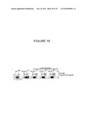 T-Helper Cell Type 17 Lineage-Specific Adjuvants, Compositions and Methods diagram and image