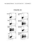 T-Helper Cell Type 17 Lineage-Specific Adjuvants, Compositions and Methods diagram and image