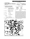 Nanoparticle Targeted Drug Delivery to the Lungs Using Extra-Testicular     Sertoli Cells diagram and image