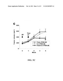 DIAGNOSTIC AND THERAPEUTIC METHODS AND COMPOSITIONS INVOLVING PTEN AND     BREAST CANCER diagram and image