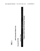 A34 AND A33-LIKE 3 DNA PROTEIN, ANTIBODIES THERETO AND METHODS OF     TREATMENT USING SAME diagram and image