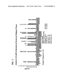 A34 AND A33-LIKE 3 DNA PROTEIN, ANTIBODIES THERETO AND METHODS OF     TREATMENT USING SAME diagram and image