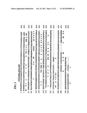 A34 AND A33-LIKE 3 DNA PROTEIN, ANTIBODIES THERETO AND METHODS OF     TREATMENT USING SAME diagram and image