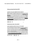 A34 AND A33-LIKE 3 DNA PROTEIN, ANTIBODIES THERETO AND METHODS OF     TREATMENT USING SAME diagram and image