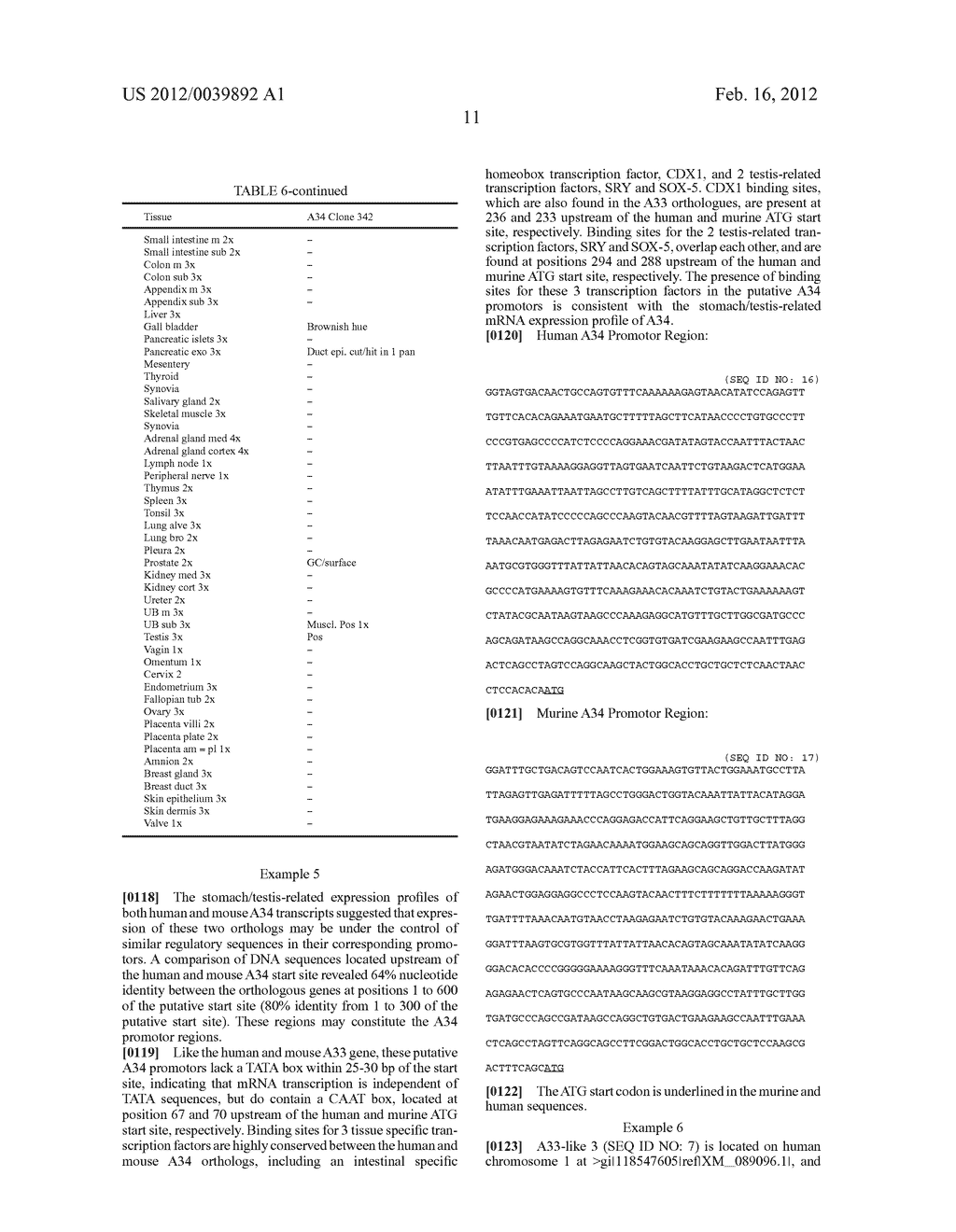 A34 AND A33-LIKE 3 DNA PROTEIN, ANTIBODIES THERETO AND METHODS OF     TREATMENT USING SAME - diagram, schematic, and image 36