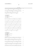 A34 AND A33-LIKE 3 DNA PROTEIN, ANTIBODIES THERETO AND METHODS OF     TREATMENT USING SAME diagram and image