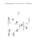 METHOD OF TREATMENT OF NEURODEMENTING DISEASES USING ISOLATED, MONOCLONAL,     HUMAN, ANTI-B-AMYLOID ANTIBODY diagram and image