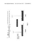 METHOD OF TREATMENT OF NEURODEMENTING DISEASES USING ISOLATED, MONOCLONAL,     HUMAN, ANTI-B-AMYLOID ANTIBODY diagram and image