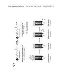 METHOD OF TREATMENT OF NEURODEMENTING DISEASES USING ISOLATED, MONOCLONAL,     HUMAN, ANTI-B-AMYLOID ANTIBODY diagram and image