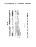 METHOD OF TREATMENT OF NEURODEMENTING DISEASES USING ISOLATED, MONOCLONAL,     HUMAN, ANTI-B-AMYLOID ANTIBODY diagram and image