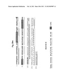 METHOD OF TREATMENT OF NEURODEMENTING DISEASES USING ISOLATED, MONOCLONAL,     HUMAN, ANTI-B-AMYLOID ANTIBODY diagram and image