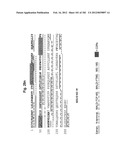 METHOD OF TREATMENT OF NEURODEMENTING DISEASES USING ISOLATED, MONOCLONAL,     HUMAN, ANTI-B-AMYLOID ANTIBODY diagram and image