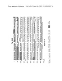 METHOD OF TREATMENT OF NEURODEMENTING DISEASES USING ISOLATED, MONOCLONAL,     HUMAN, ANTI-B-AMYLOID ANTIBODY diagram and image